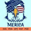 america eagle 01