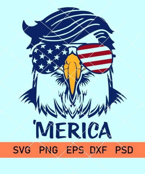 america eagle 01