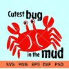 Cutest Bug in the Mud SVG