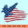 America Flag with eagle svg