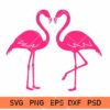 Flamingo Svg