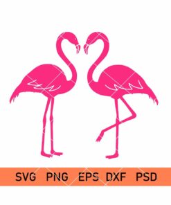 Flamingo Svg