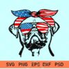 pug with bandana 01