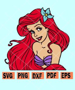 Ariel svg