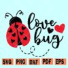 Love Bug SVG