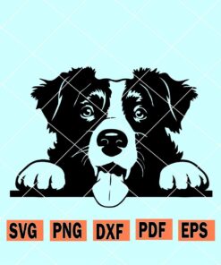 Peeking Border Collie SVG