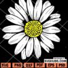 Daisy flower svg