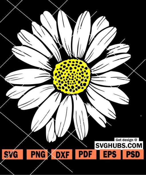 Daisy flower svg