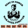 RIP Black Panther SVG