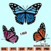 Butterfly SVG bundle