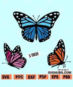 Butterfly SVG bundle