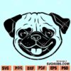 Cute Pug Face SVG