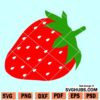 Strawberry SVG