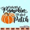 Cutest Pumpkin In The Patch SVG