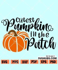 Cutest Pumpkin In The Patch SVG