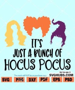 It's Just a Bunch of Hocus Pocus SV