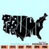Trump map SVG