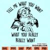 Tell me what you want Santa SVG