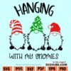 Hanging out with my Gnomies SVG