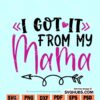 I got it from my mama SVG