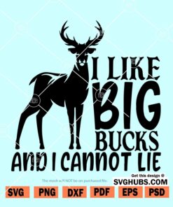 I Like Big Bucks and I Cannot Lie SVG
