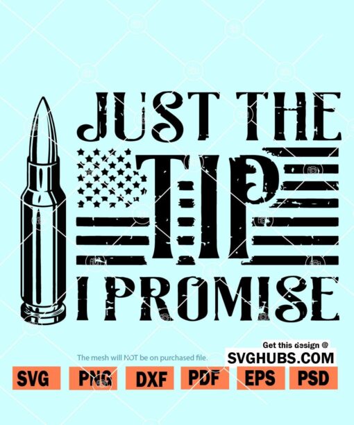 Just the tip I promise SVG