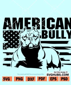 American bully Svg