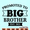 Promoted to Big Brother 2021 SVG