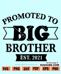 Promoted to Big Brother 2021 SVG