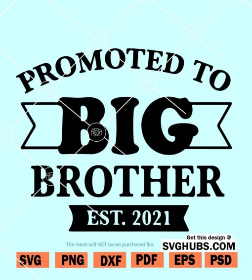 Promoted to Big Brother 2021 SVG