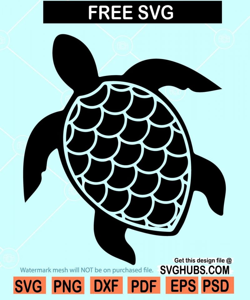 Sea Turtle SVG free, turtle svg free, Turtle svg file for cricut