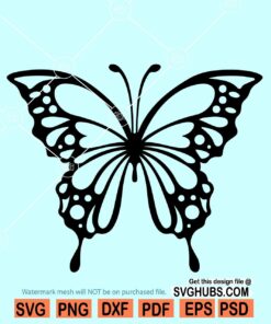 Butterfly SVG files for cricut