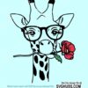 Giraffe with flower and sunglasses svg