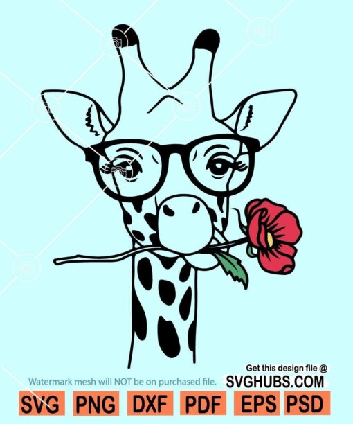 Giraffe with flower and sunglasses svg