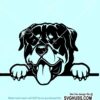 Peeking Rottweiler Dog SVG