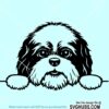 Peeking Shih Tzu svg