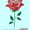 Rose and stem SVG