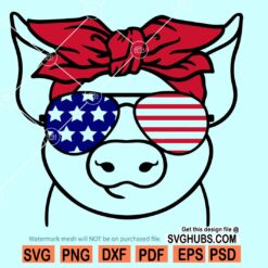 4th of July pig SVG