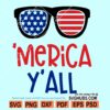 Merica Yall SVG
