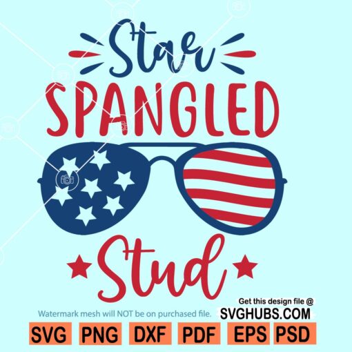 Star spangled stud SVG