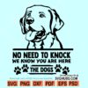 No Need to Knock svg
