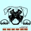 Boxer dog SVG