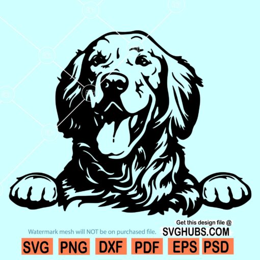 Golden Retriever SVG