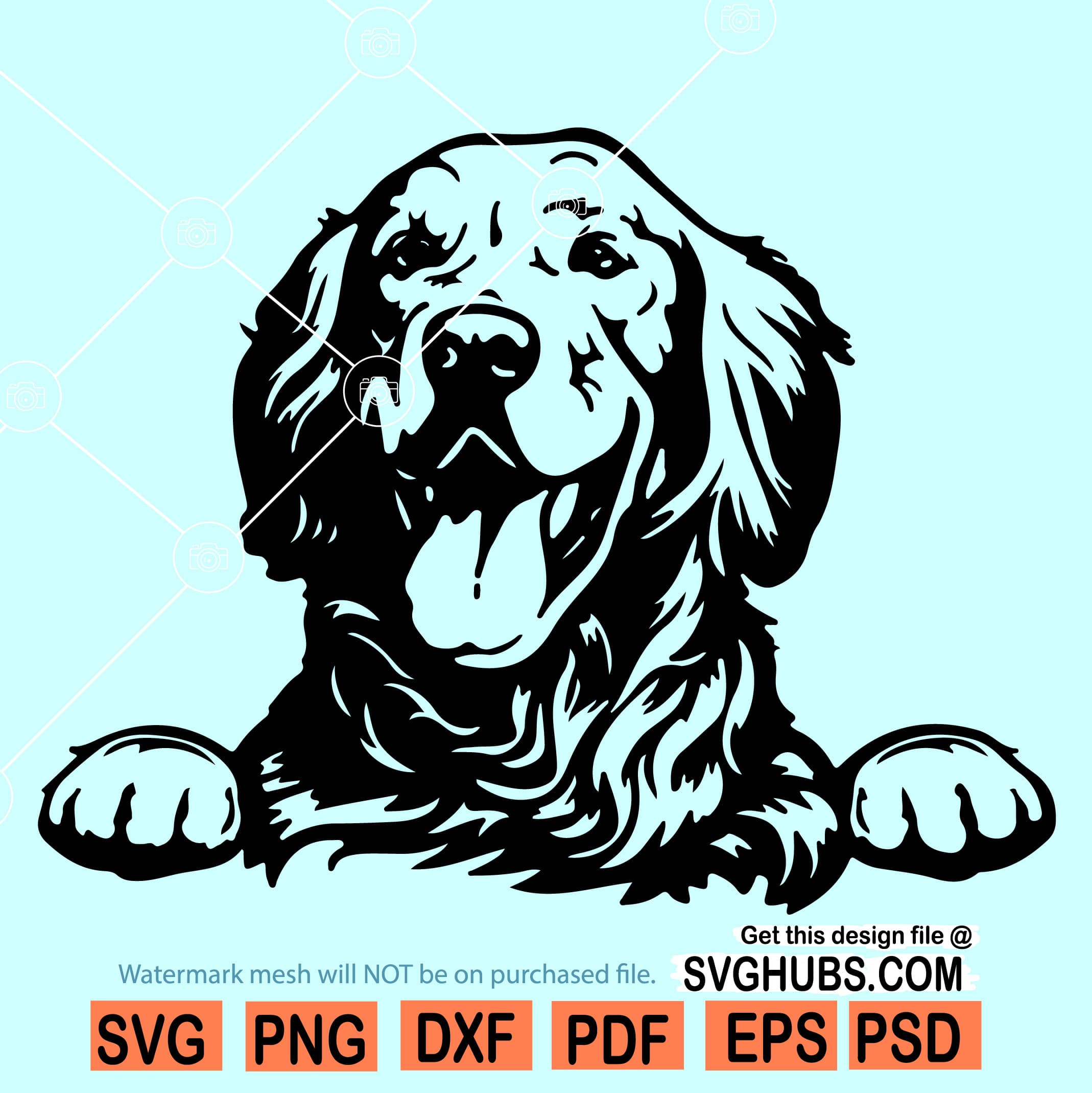 Golden retriever svg file, Goldie SVG, Golden Retriever dog SVG