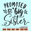 Promoted to big sister SVG