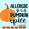 Allergic to pumpkin spice SVG, Pumpkin Spice SVG, Fall svg file, fall shirt svg