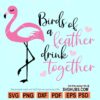 Birds of a feather drink together SVG, flamingo bachelorette svg, flamingo shirt SVG
