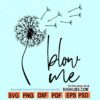 Blow me SVG, blow me dandelion svg, dandelion svg, adult humor svg, blow me png