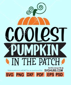Coolest Pumpkin in the Patch SVG, Pumpkin Patch SVG, Boy Pumpkin SVG, Fall svg files