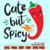 Cute But Spicy Svg, Funny Cinco De Mayo Svg, Spicy Svg, Mexican Svg, Tacos svg, cute spicy svg